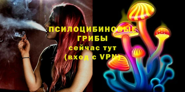 эйфоретик Белоозёрский