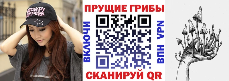 Галлюциногенные грибы Cubensis  Долгопрудный 